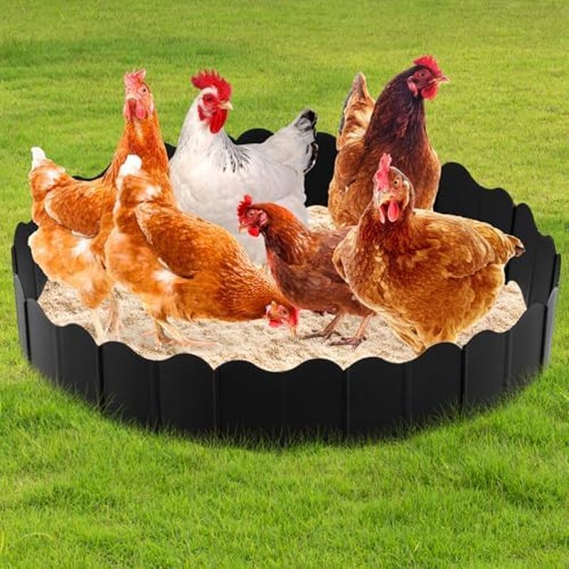 Colingmill 1 ชุดไก่อ่างฝุ่น, 36.4x5.5 Coop Lime อุปกรณ์เสริมไก่ Coop Cleaner Bottomless Design, Dust