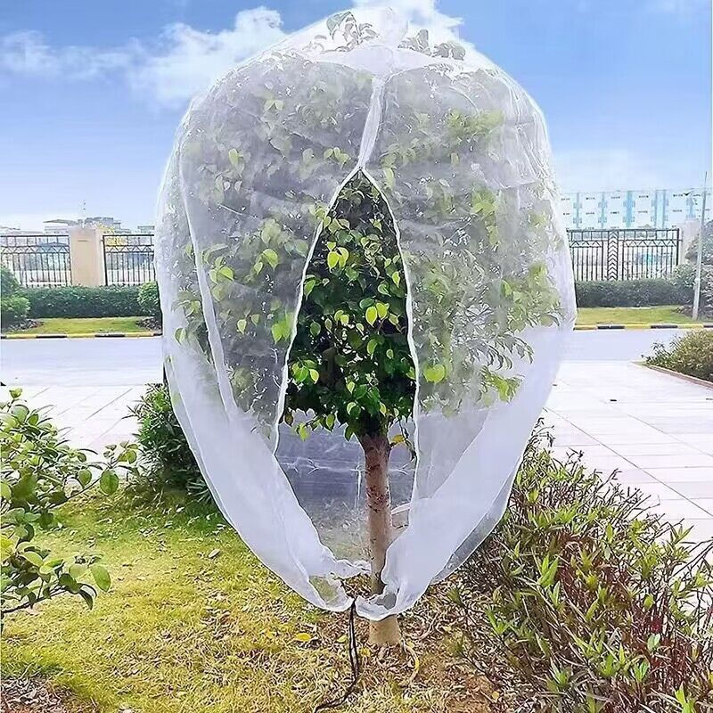 Full Lotus Pod Jabao Insect-Proof Net Cover12y Anti-bird netting for fruit trees, new product for lo