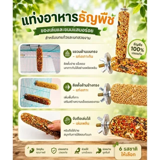 Parrot.thailand แท่งธัญพืชแท้ 100% ขนมลับฟันเสริมวิตามิน สำหรับนก แฮมสเตอร์ และชูการ์ไกลเดอร์