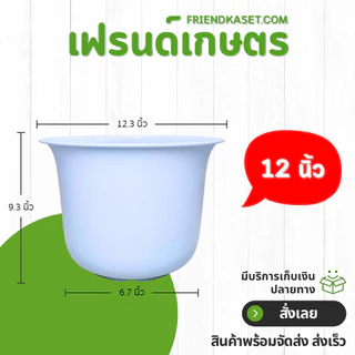 กระถาง กระถางต้นไม้ มินิมอล ถ้วยจีน ขนาด 12 นิ้ว สีขาว Bundle 5 ใบ ชิ้น อัน