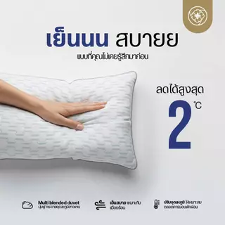 Orientas หมอนเย็น รุ่น Cool Sleep เย็นลง 2 องศา หมอนขนห่านเทียม เกรดโรงแรม นุ่ม เด้ง คืนตัวไว