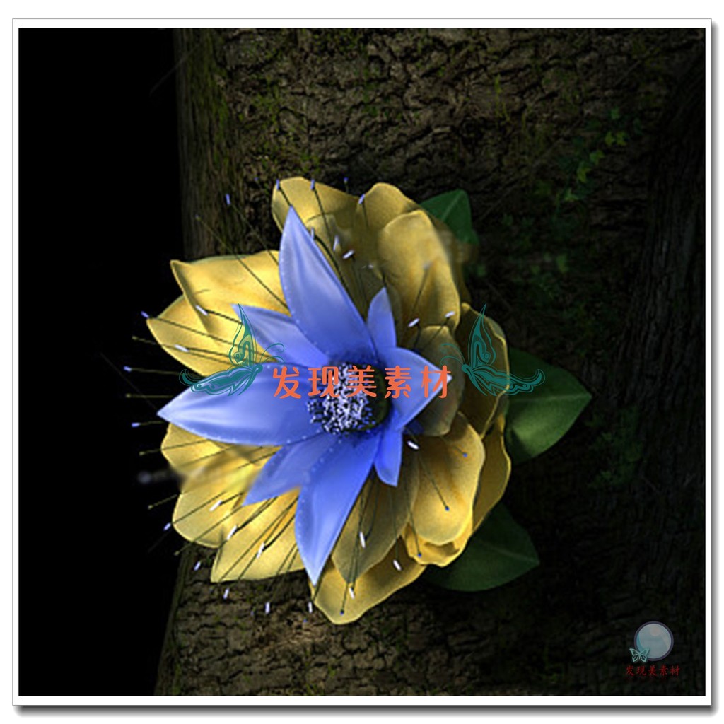 3dsMax One Flower Blooming Flower Bloom Animation Model Material Source File T3859