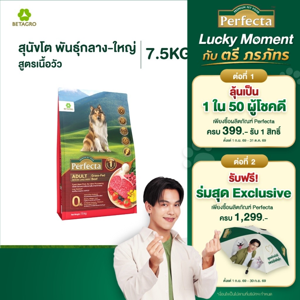 Perfecta อาหารสุนัข เกรดพรีเมี่ยม สุนัขโต พันธุ์กลางใหญ่ 1 ปี ขึ้นไป สูตรแซลมอน เนื้อสดแท้ Human grade ขนาด 7.5 กก.