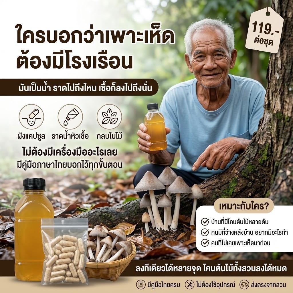 หัวเชื้อเห็ดโคน แบบแคปซูล พร้อมน้ำหัวเชื้อ เพาะง่ายที่บ้าน คู่มือครบ เห็ดหายากราคาแพง