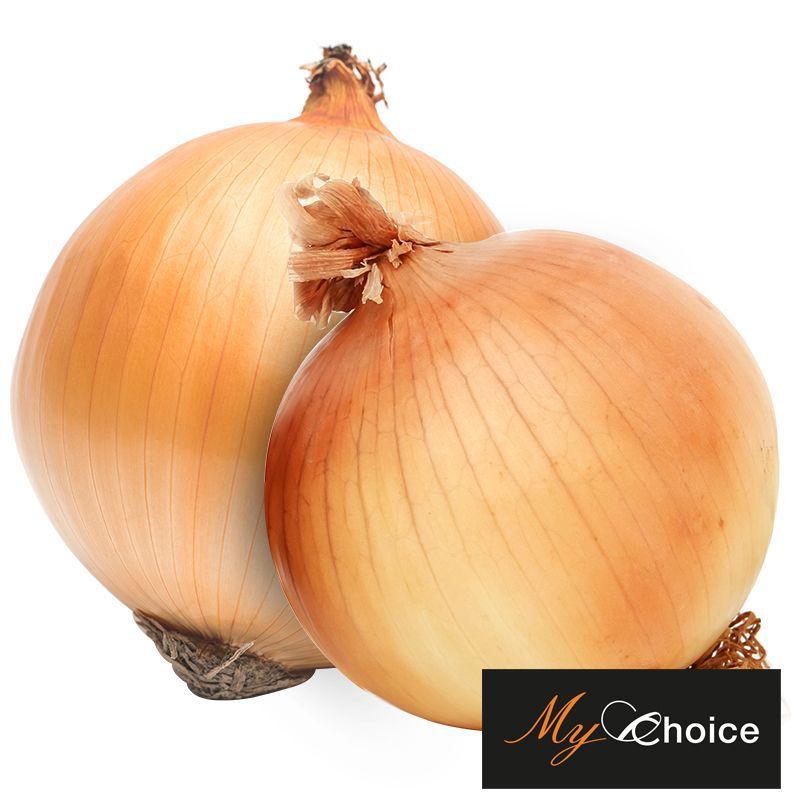 มายช้อยส์หอมใหญ่ 500กรัม My Choice Onion 500g.