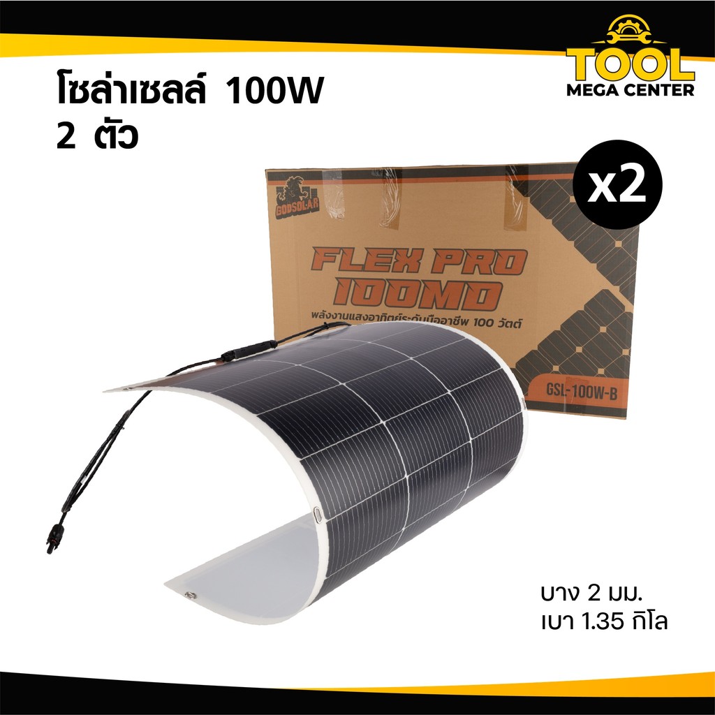 GODSORAL แผงโซล่าเซลล์ 100W-250W  แบบ 2 แผง