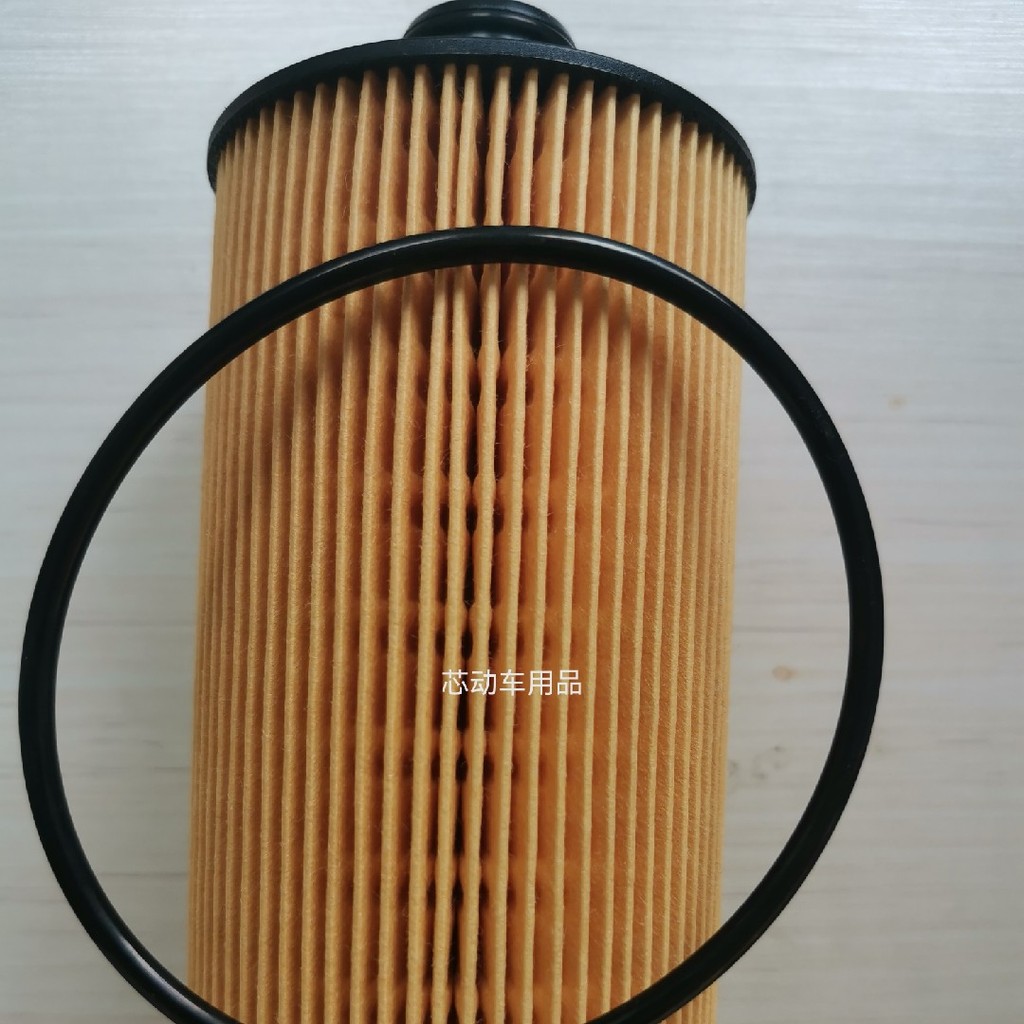 เหมาะสําหรับ Chai wp2.33.0 Howman wp3N Howard Titans Commander J6F Tiger V กรองน้ํามัน1000491060