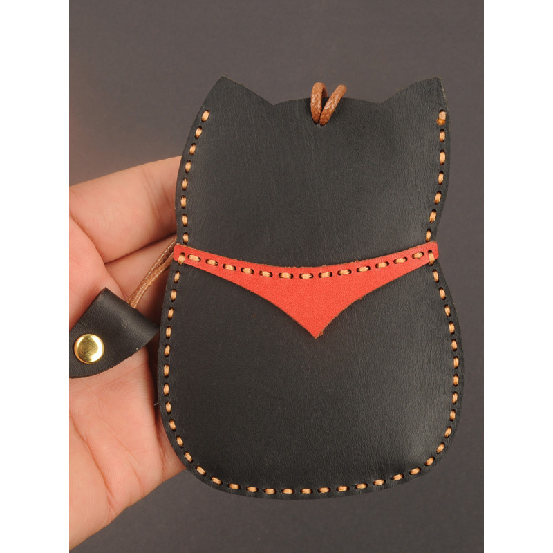 เหมาะสําหรับ Biadi Card Key Case Han EV Don DMI Song pro Seal NFC Tengshi Card Case