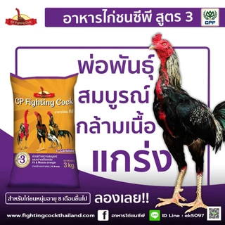 ของใหม่ พร้อมส่ง อาหารไก่ชนซีพี อาหารไก่ชนพรีเมี่ยมจาก cp 3kg. CP Cock Fighting (แถมฟาร์มิน 1ซอง)