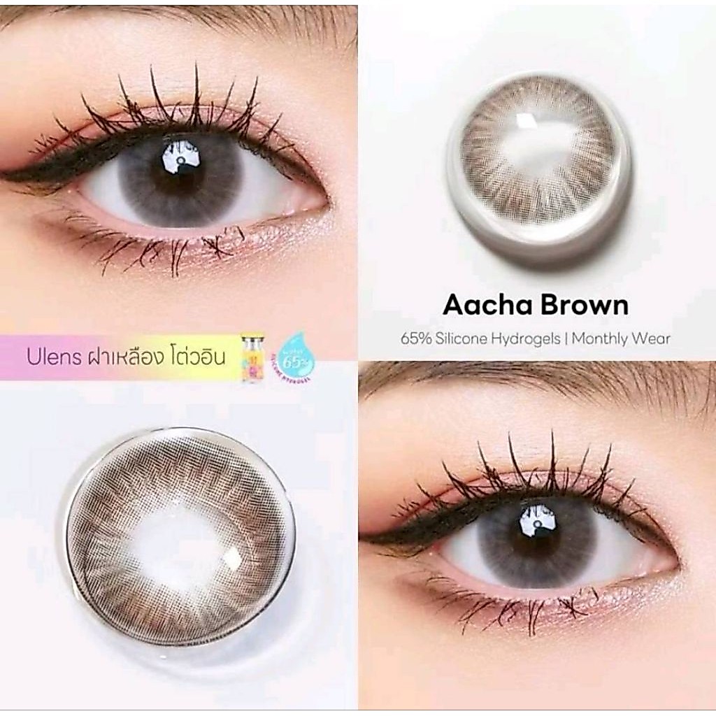 คอนแทคเลนส์ลาย AACHA Brown สีน้ำตาล ขนาดตาโต เลนส์ 14.5 mm ค่าอมน้ำ 65% รายเดือน ( U Lens )
