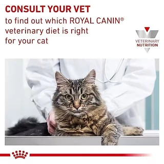 (พร้อมส่ง) Royal Canin Cat : Urinary S/O 3.5 kg อาหารเม็ดแมวโรคนิ่ว