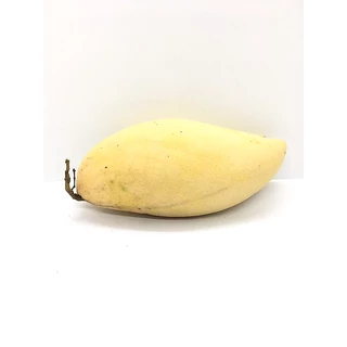 มะม่วงน้ำดอกไม้ / โชคอนันต์ / มหาชนก / แก้วขมิ้น 1กิโล หอมหวานอร่อย สด สะอาด