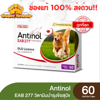 Antinol 60 แคปซูล ของแท้!! แพ็คเกจใหม่ อาหารเสริมบำรุงข้อ ข้ออักเสบ 1 กล่องบรรจุ 60 เม็ด