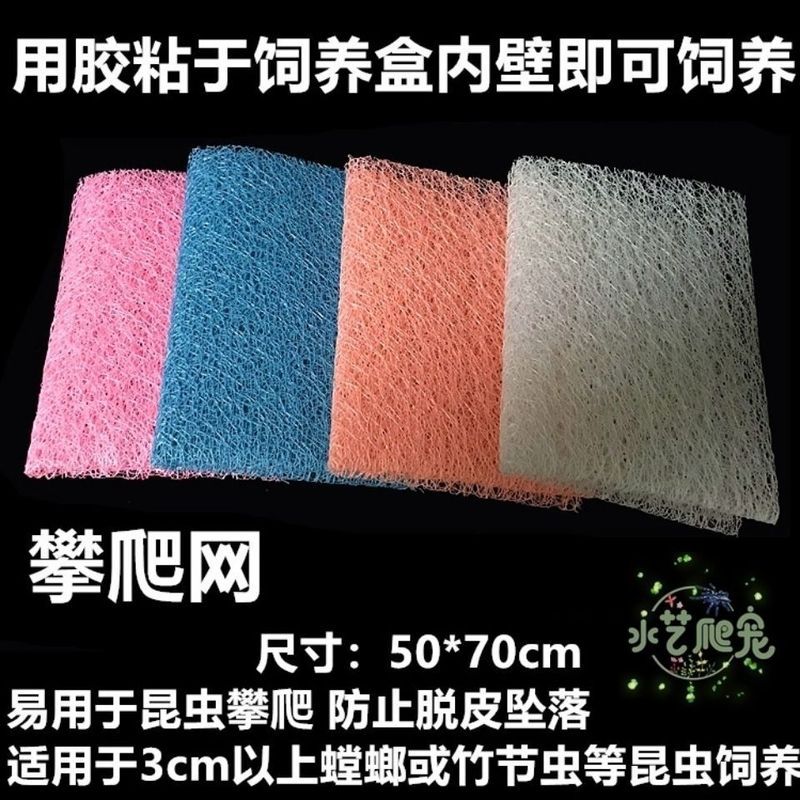 包邮现货爬虫攀爬纸攀爬网螳螂攀爬纸螳螂攀爬网昆虫活体饲养用品7.24 จัดส่งฟรี มีสินค้าในสต็อก: กระดาษปีนป่ายสำหรับสัตว์เลื้อยคลาน, ตา