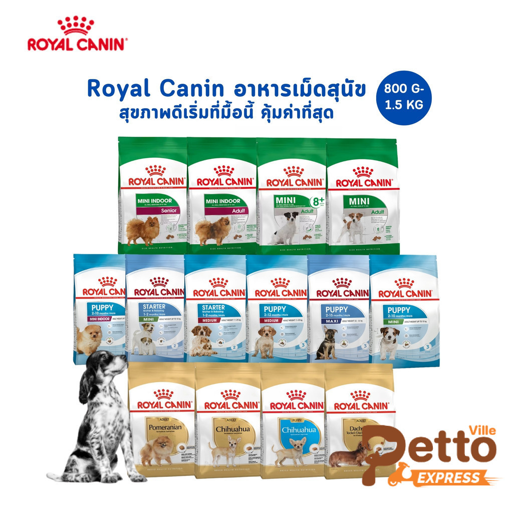 Royal Canin อาหารเม็ดสุนัข สูตรเฉพาะสำหรับสุนัข ขนาด 800 กรัม - 1.5 กิโลกรัม