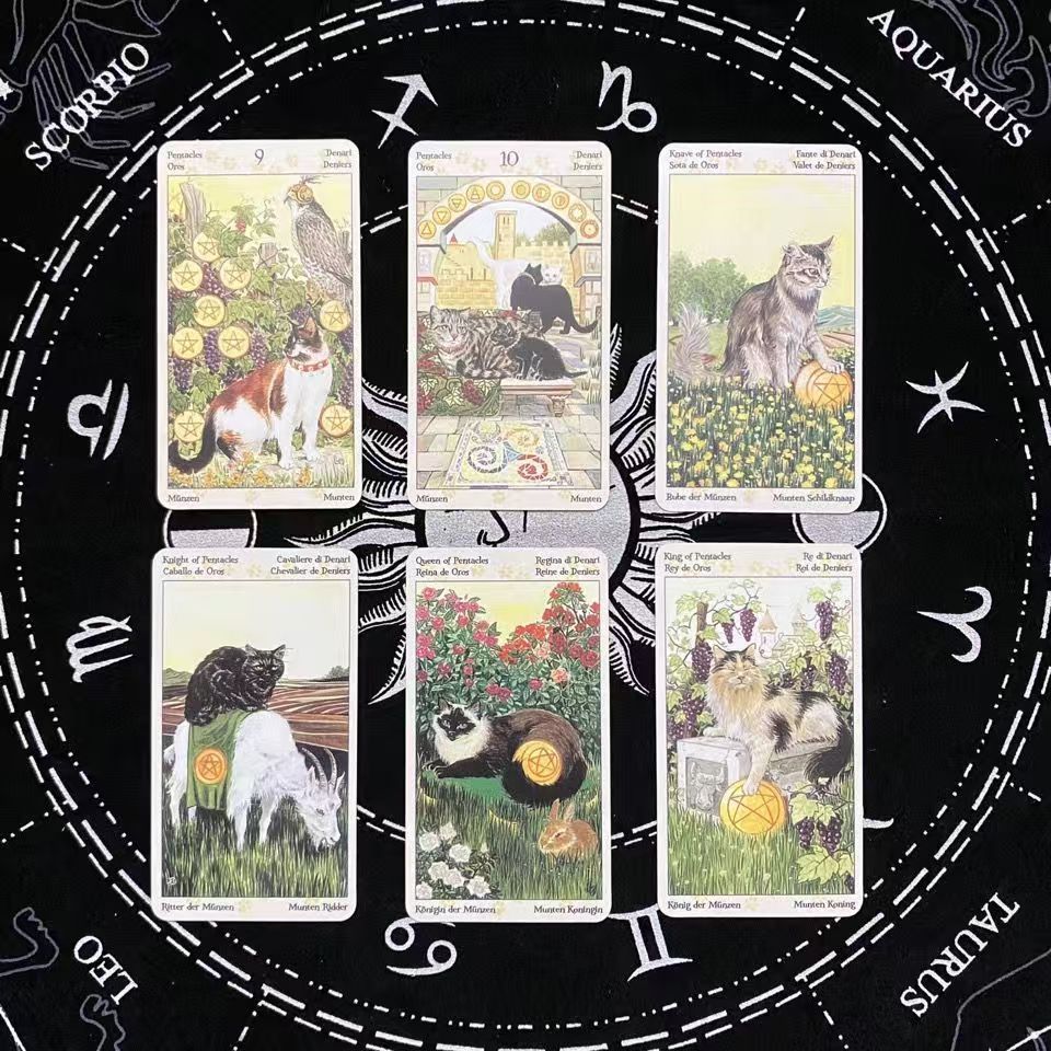 2026 สินค้าใหม่เวอร์ชันภาษาอังกฤษ Tarot of Pagan Cats Tarot of Pagan Cats Tarot Mini Small Version 7