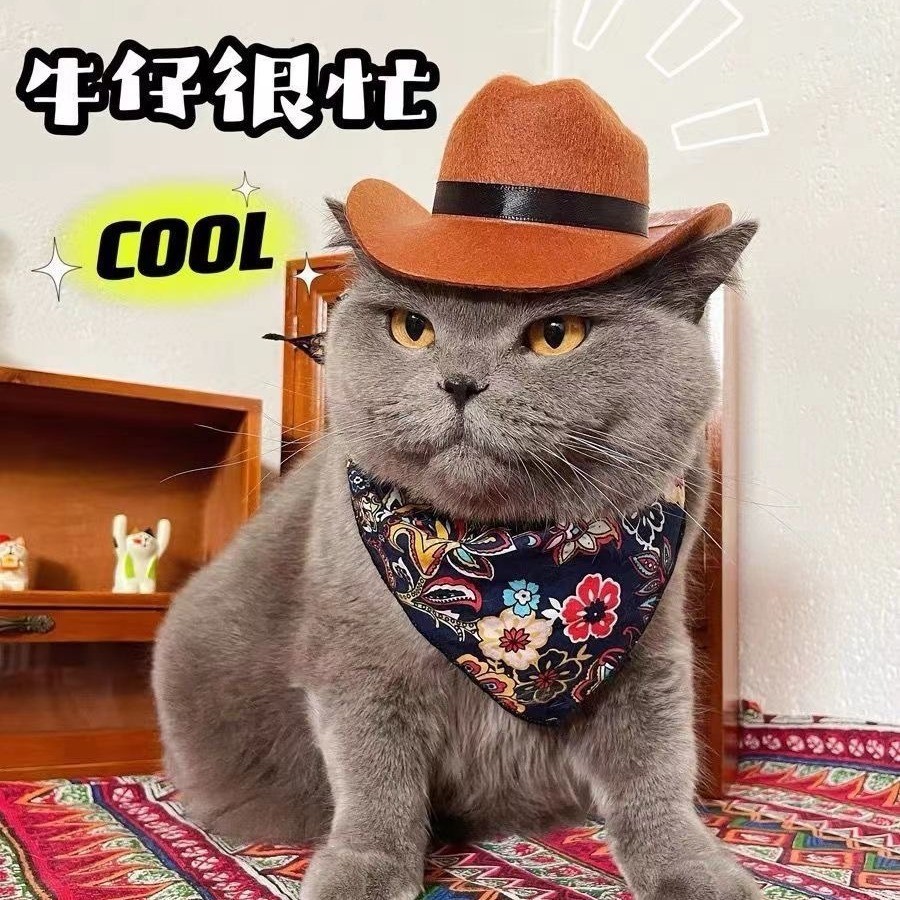 Cool Hat Cat Puppy Hat Headdress Western Cowboy Busy Photo nomi Mini Cowboy Hat