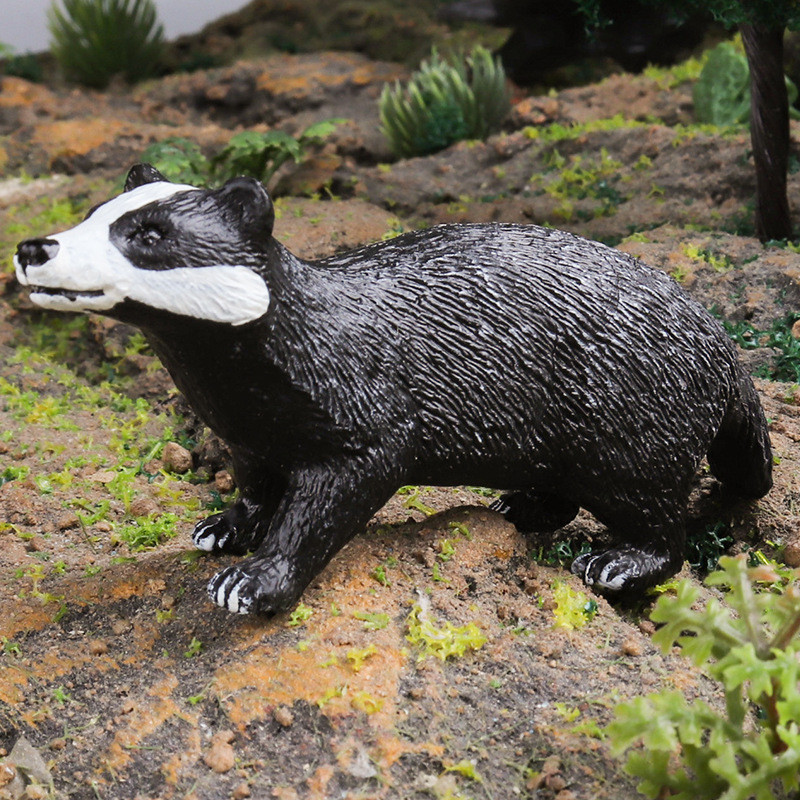 Solid จําลองสัตว์ของเล่นสัตว์ยุโรป Badger สุนัข Badger Weasel Keshan Badger Weasel เด็กความรู้ความเข