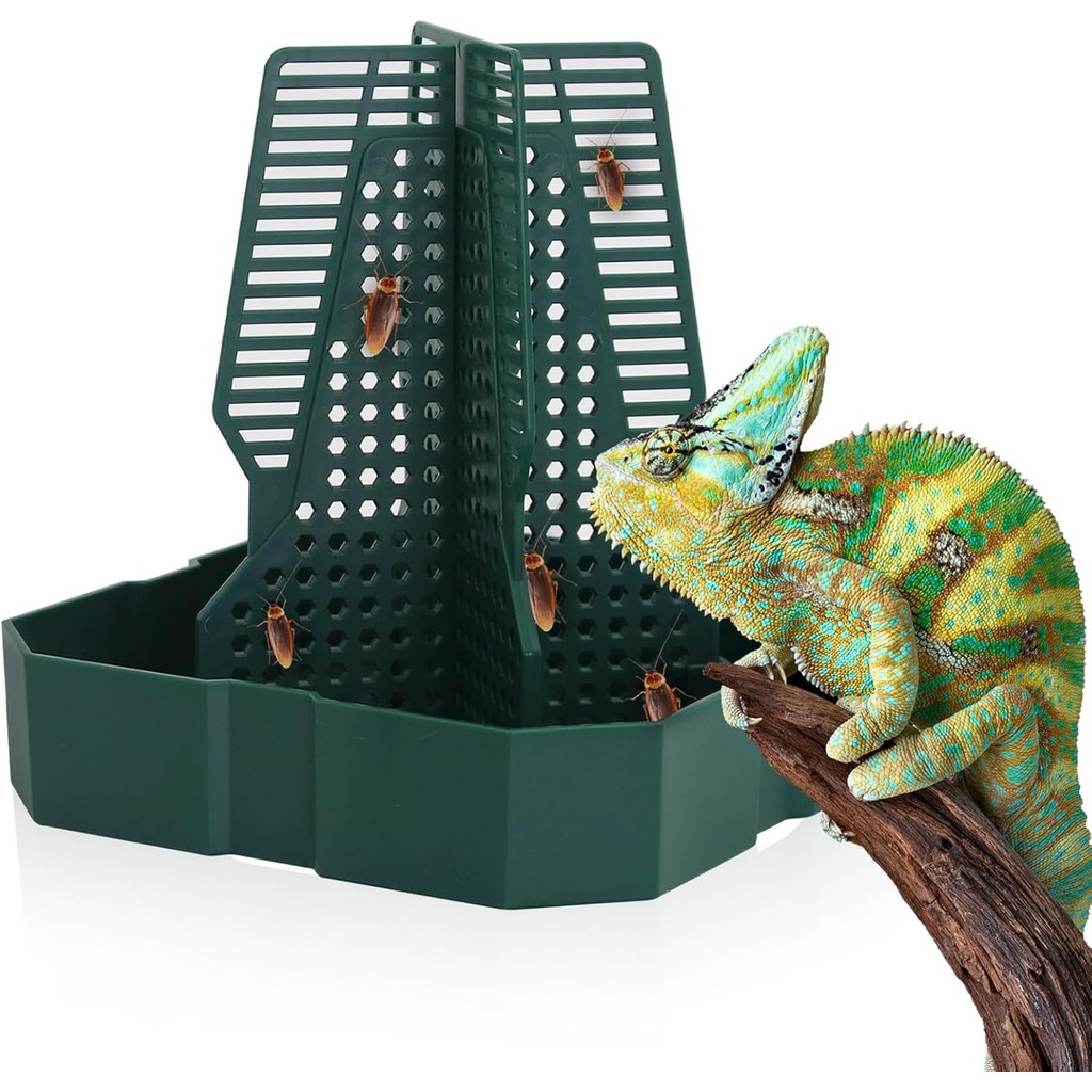 Chameleon Feeding Bearded Dragon Bug Bowl กล่องป้อนสัตว์เลื้อยคลานพร้อมคอลัมน์สําหรับแมลงเพื่อปีนสํา