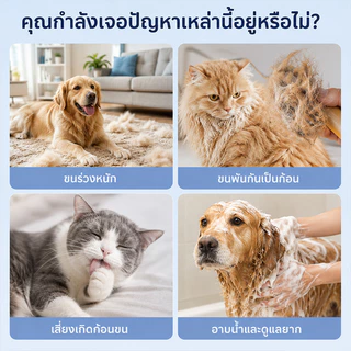 หวีขนแมว แปรงขนแมว หวีแมว หวีขนสุนัข แปรงขนสุนัข หวีสางปมขนแมว กําจัดขนแมว มีปุ่มดันขนออก