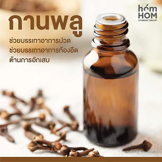 homHOM (น้ำมันสกัดจากไพลเข้มข้น) - 1 pcs / ออฟฟิสซินโดม สูตรเข้มข้น ปวดเมื่อย กลิ่นหอมสปา