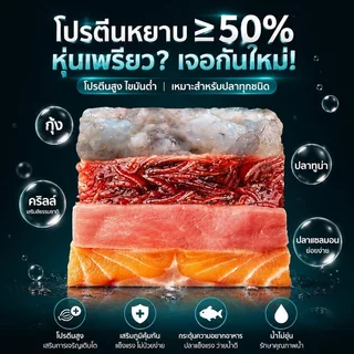 อาหารปลา Biozym Mini พรีเมียม โปรตีนสูง 50 เปอร์เซ็นต์ วิตามิน เอนไซม์ โปรไบโอติก