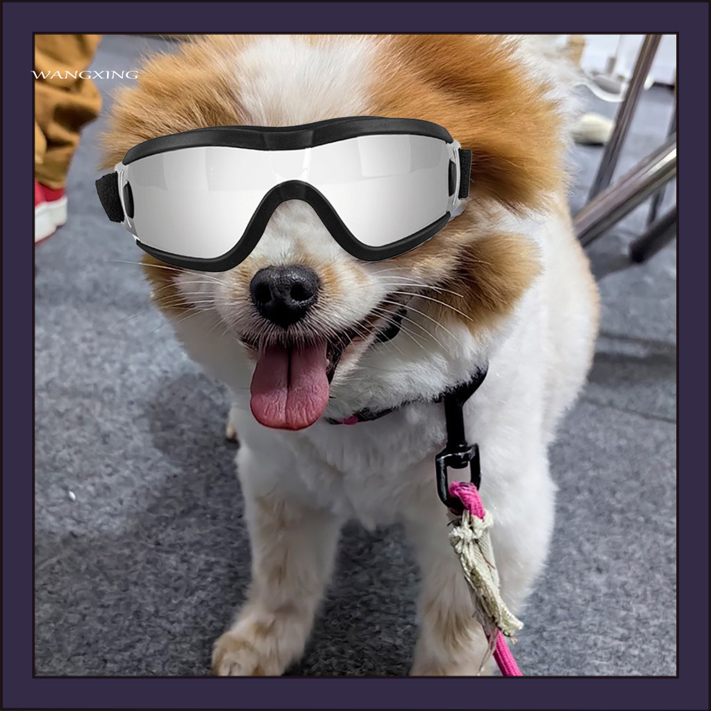 [WX] Sun Proof Dog Eye Gear แว่นกันแดดสําหรับสุนัขขนาดกลางแว่นตาสุนัขแว่นกันแดดป้องกันรังสียูวีสําหร