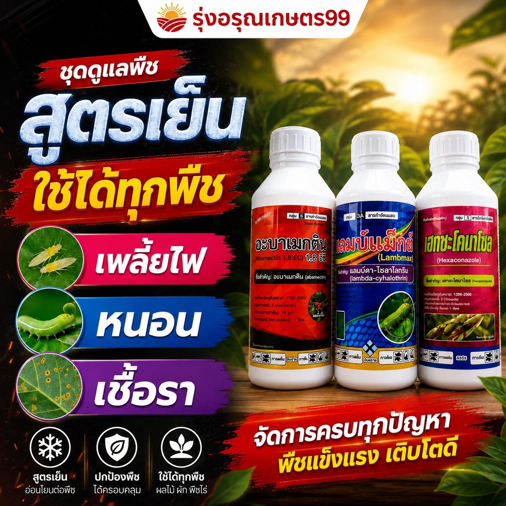 ชุดจบ เพลี้ย หนอน เชื้อรา ครบจบ น็อค ดูดซึม หนอน แมลง เชื้อรา ใช้ได้ทุกพืช สูตรเย็น อะบาเมกติน แลมดา เฮกซะโคนาโซล