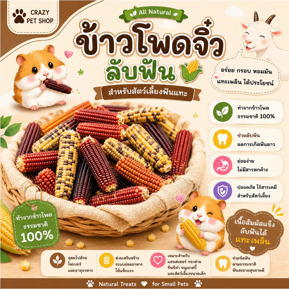 Crazy pet shop 🐹อุปกรณ์ลับฟัน แทะเล่นสำหรับแฮมสเตอร์