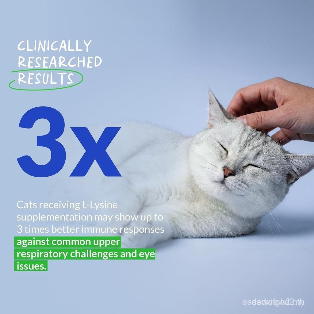 L-Lysine for s 900mg/scoop - สําหรับ Sneezing Runny Nose, เย็น, รองรับภูมิคุ้มกัน, ฟังก์ชั่นรอบดวงตา