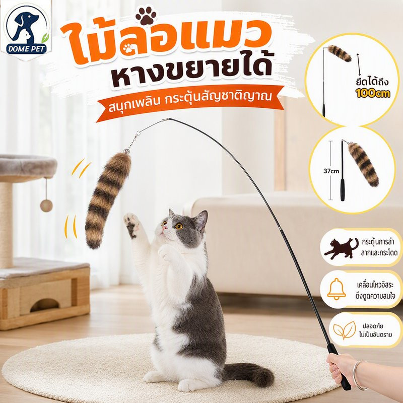 ไม้ล่อแมว ขยายได้ หาง ของเล่นแมว ของเล่นล่อแมว องเล่นก้านยาว สําหรับแมว ของเล่นติด