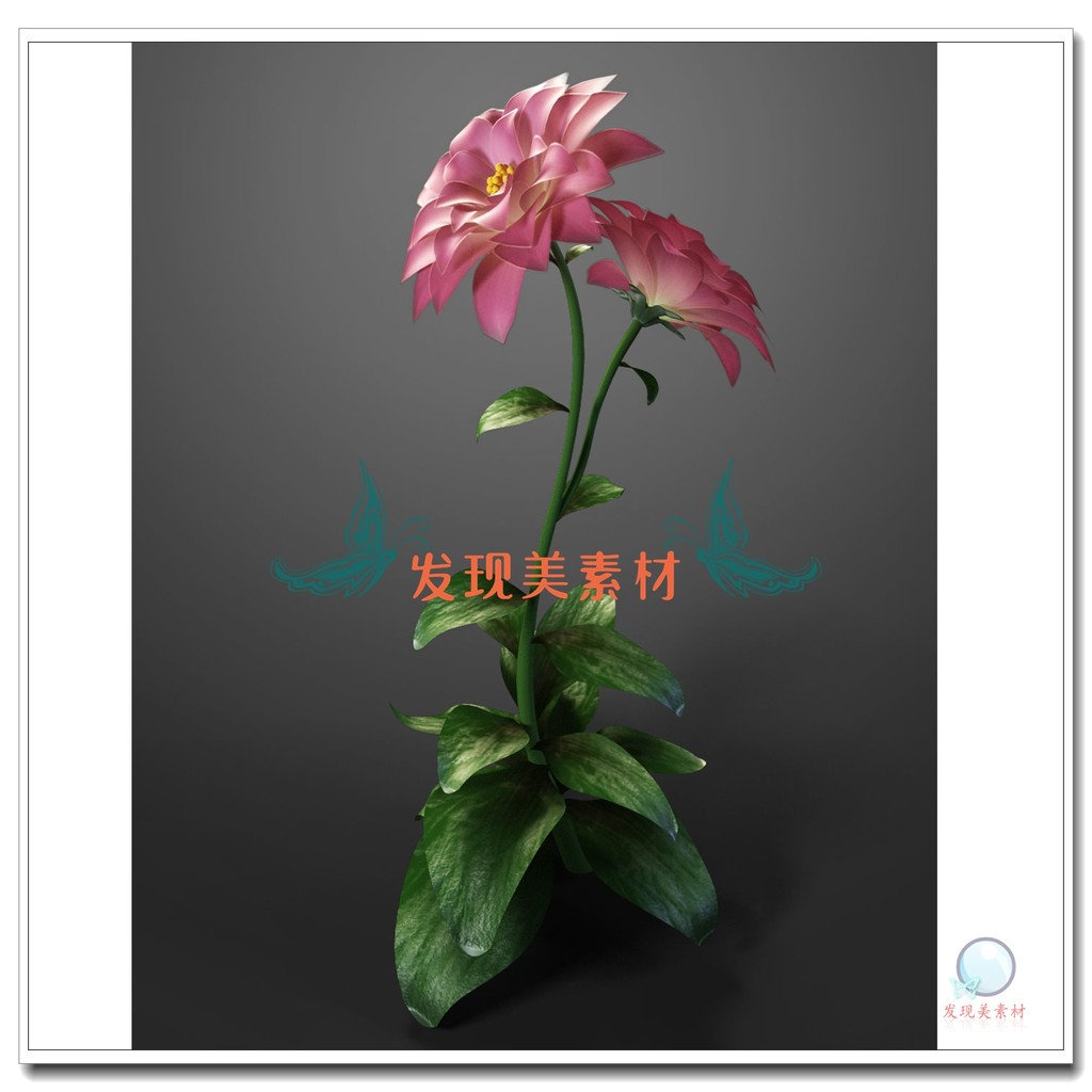 3dsMax Flowers Bloom Animation Flowering Action Model วัสดุแหล่งแฟ้ม T3861