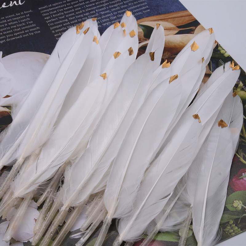 Influencer Feather Feather ภาพวาด Feather Feather Feather Wall ตกแต่ง Feather เครื่องประดับอุปกรณ์เส