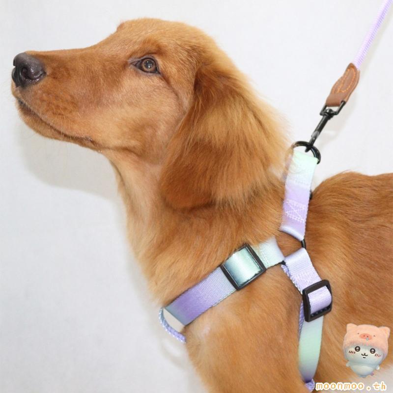 Moon Dogs Harness เข็มขัดคาดเอวสุนัข Chest Belt Leash Walk Training Harness