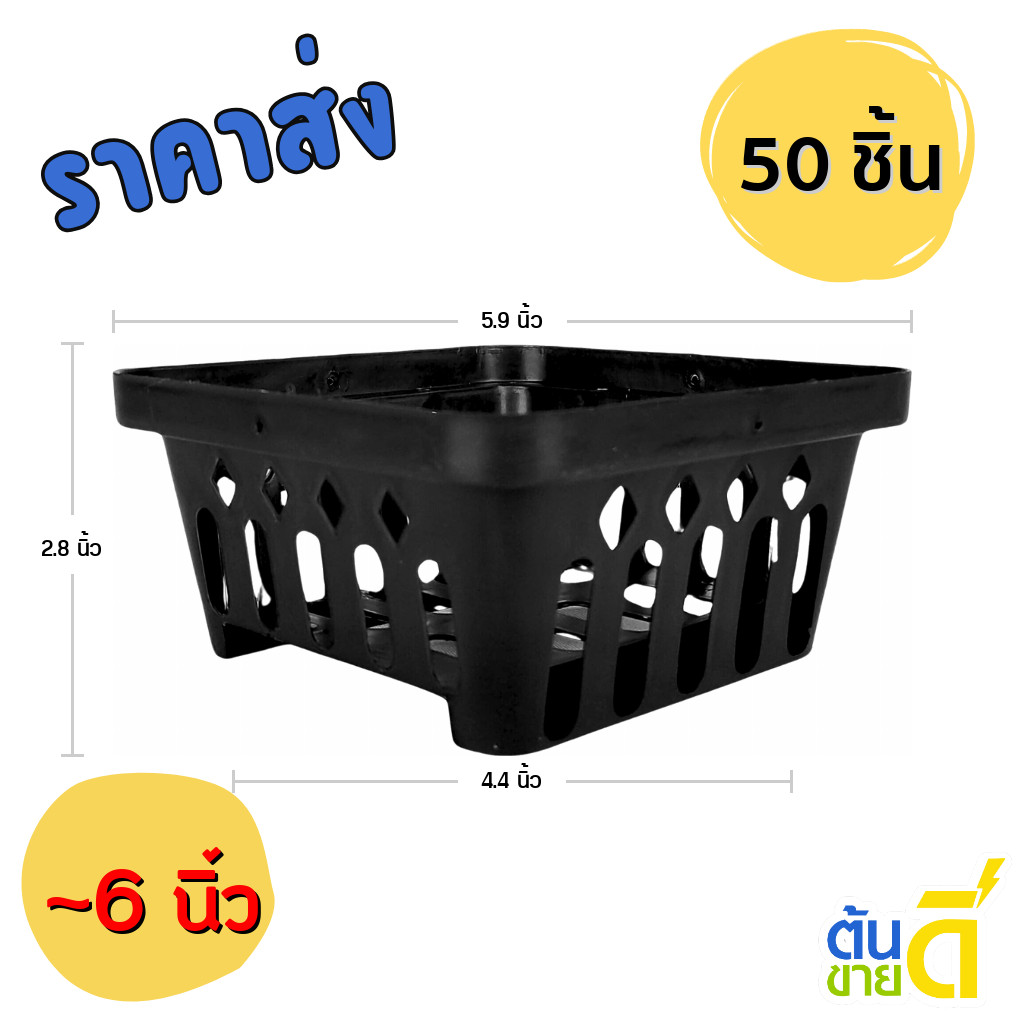 กระถาง กระถางกล้วยไม้ กระถางแขวน สี่เหลี่ยม 6 นิ้ว 10 25 50 100 ใบ ชิ้น