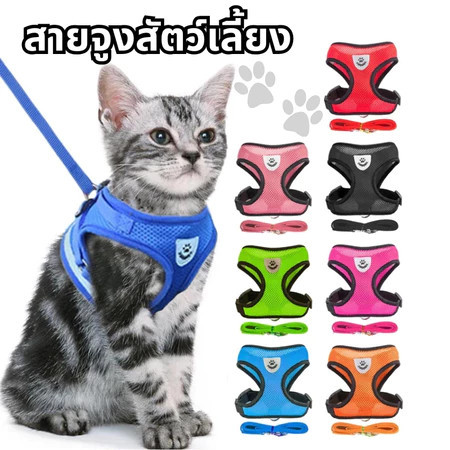 🔥สายจูงแมวรัดอก😻จูงหมา สําหรับสัตว์เลี้ยง สุนัข แมว กระต่าย ขนาดเล็ก เสื้อจูงแมว ผ้าตาข่าย พร้อมสายจูง บสัตว์เลี้ยง