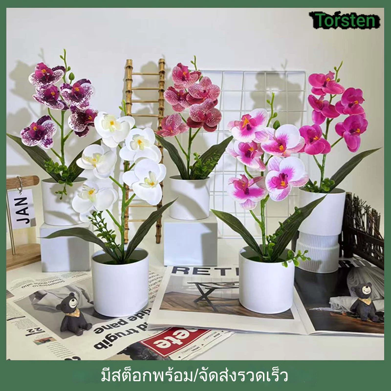 ดอกกล้วยไม้ประดิษฐ์ในกระถาง ของตกแต่งบ้าน