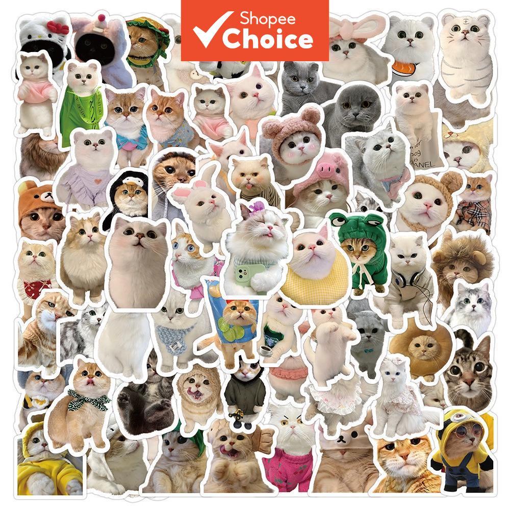 น่ารัก 100PCS การ์ตูนสมจริงน่ารักสัตว์เลี้ยงลูกแมวสติกเกอร์กันน้ําสําหรับกระเป๋าเดินทางเคสโทรศัพท์แล็ปท็อปโน้ตบุ๊ค Decals เด็กของขวัญ RecordingYourLife