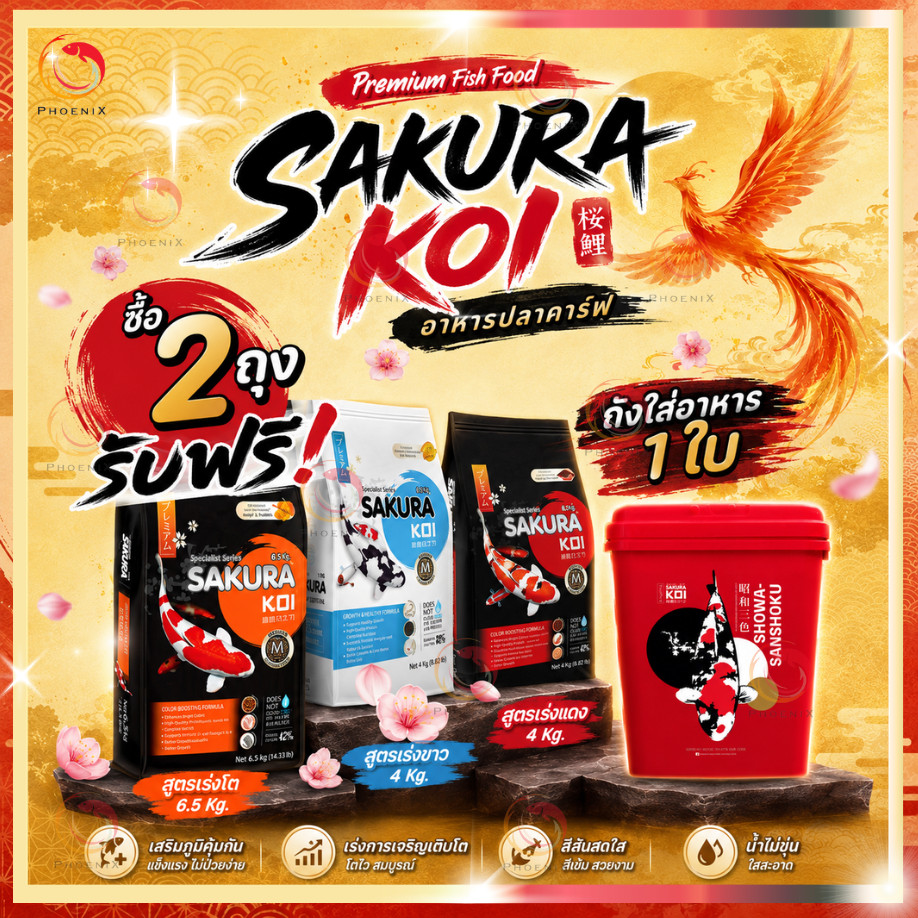 คละได้ทุกสูตร กดซื้อ2ถุง แถมถัง อาหารปลาคาร์ฟ Sakura Koi (ซากุระ โค่ย) เร่งโต/เร่งสี/เร่งขาว 6.5และ 4กก.