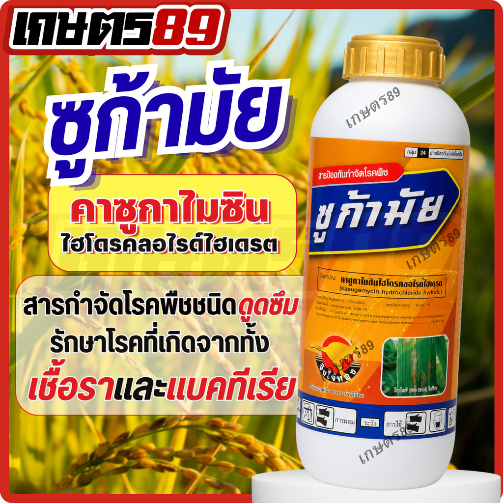 คาซูก้ามัยซิน ซูก้ามัย ตราจิงโจ้ทอง ขนาด 1ลิตร ป้องกันกำจัดโรคพืชที่เกิดจากเชื้อราและแบคทีเรีย โรคไหม้ โรคขอบใบแห้ง