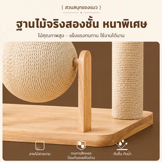 คอนโดแมวไม้ พร้อมโดมนอนแบบใส คอนโดแมว ตัวคอนโดแมวใหญ่ condoแมว กรอบปีนแมว โครงปีนแมว แคปซูลอวกาศ บ้านแมว คอนโดแมวไม้จริง