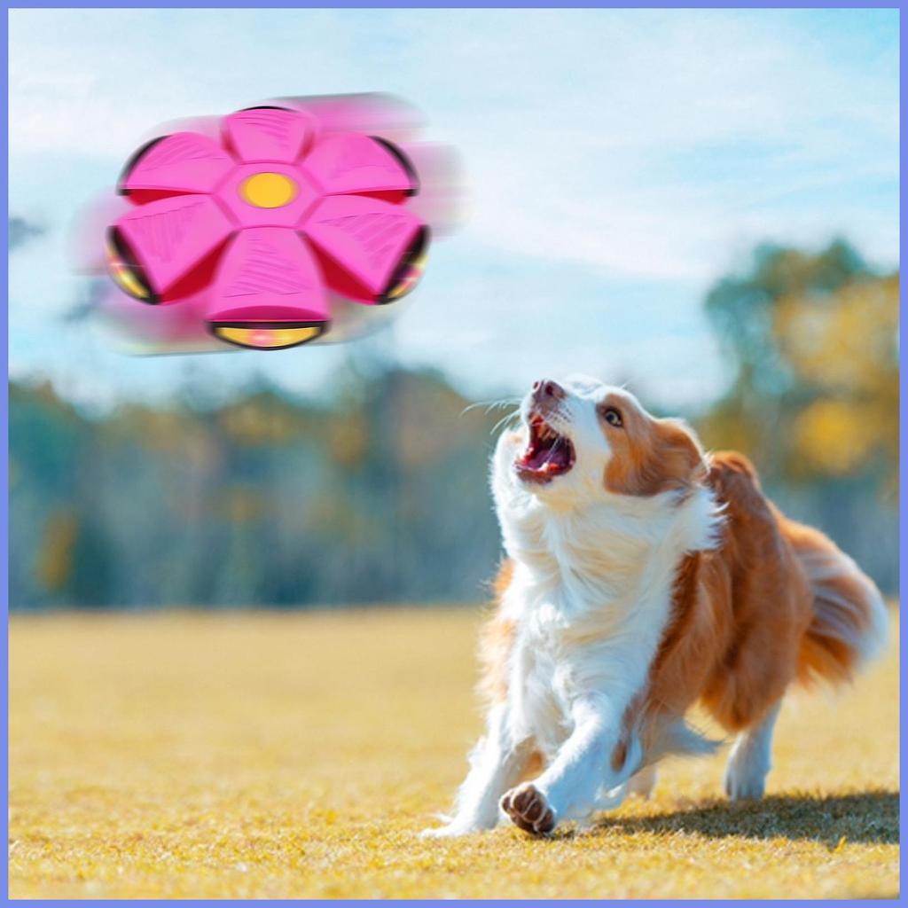 Bouncy Balls Transformable Light-Up Party Favors Sensory ของเล่น Bouncy Ball สําหรับชายหญิงเด็กบ้านก