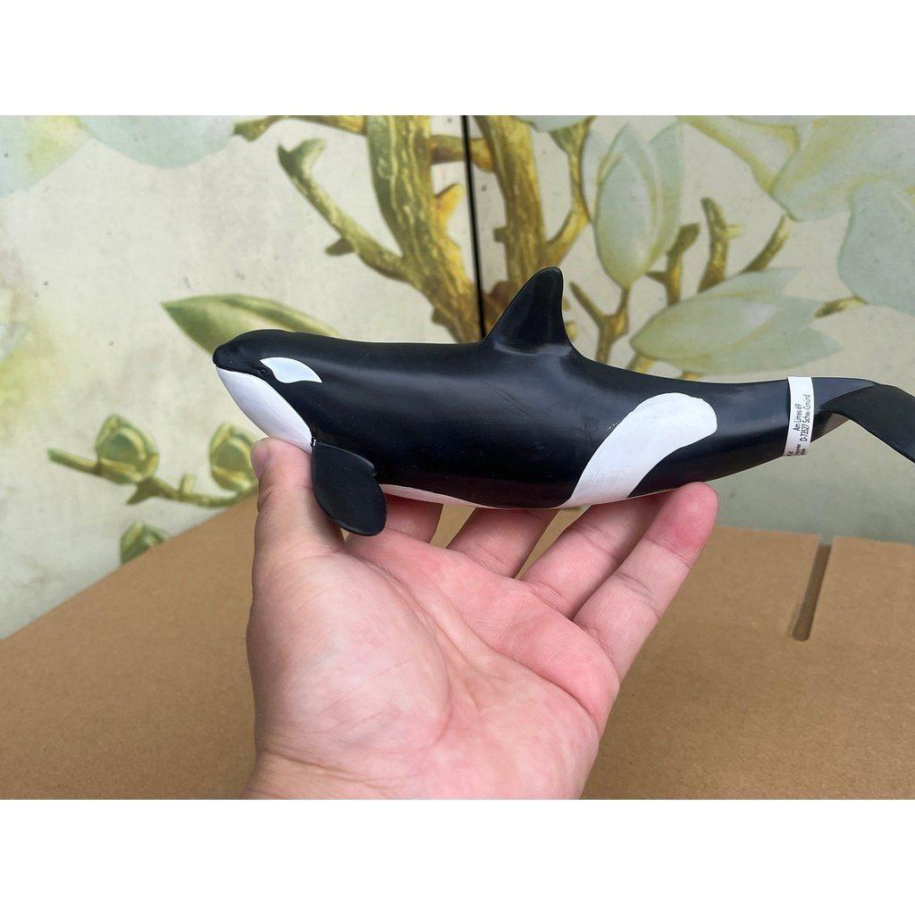 เยอรมัน schleich Ocean Series Killer Whale Killer Whale จําลองโมเดลของเล่น