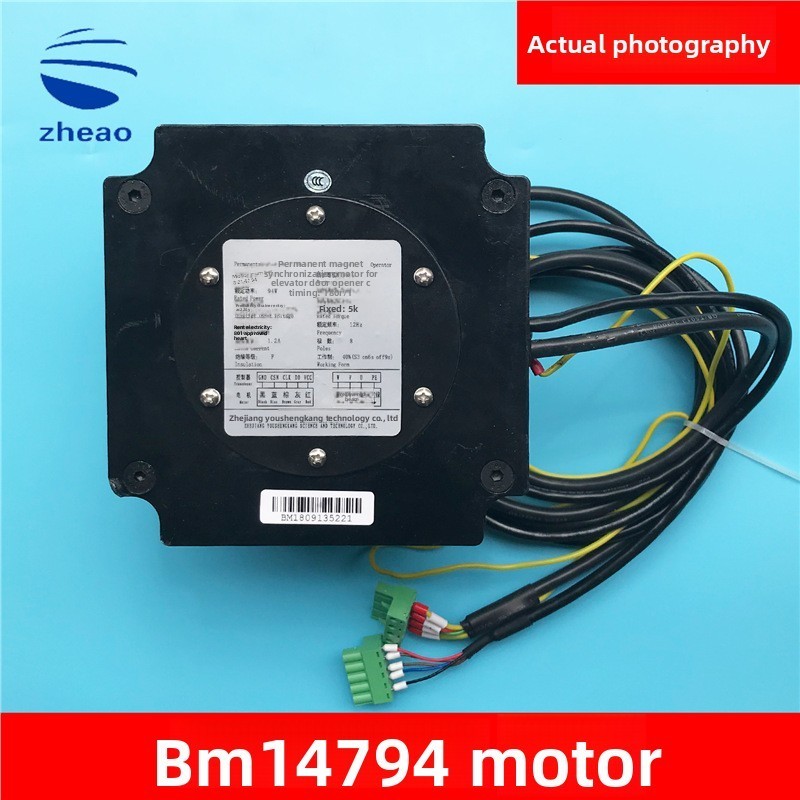 Xizi Otis/Hangzhou Xio Elevator Parts Door Motor Youshengkang BM14794 94W