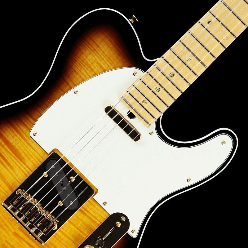 TS Guitars TL-22 Flame Top Made in Japan กีตาร์ไฟฟ้าทํามือ TS