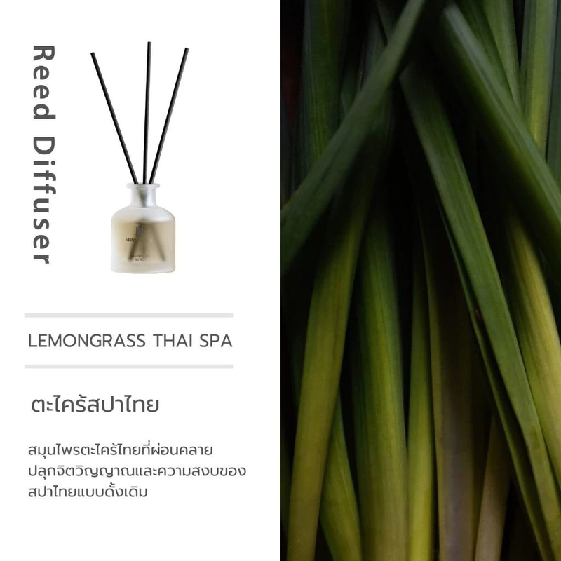 ก้านไม้หอม Hanky Reed Diffuser ก้านน้ำหอม น้ำหอมอโรม่า น้ำมันหอมระเหย ก้านหอม 50 ml