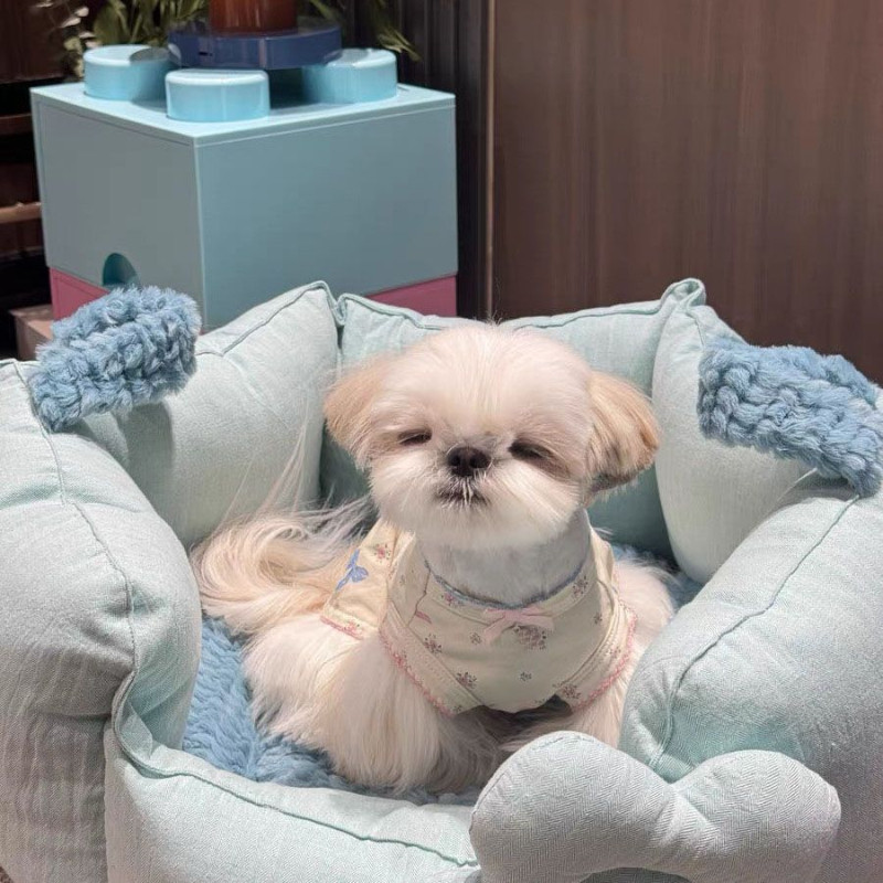 ชุดเดรสแขนกุดลายดอกไม้น่ารักสําหรับสุนัขขนาดเล็กแมวฤดูใบไม้ผลิฤดูร้อนเสื้อผ้าสัตว์เลี้ยงเท็ดดี้บิชอนชุดใส่ในบ้าน - รูปที่ 7