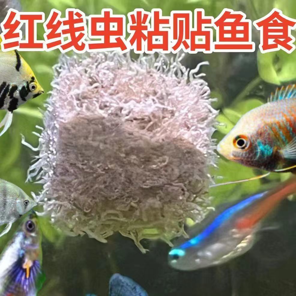 2025 สินค้าใหม่ปลาทองฟีดสีแดงสายหนอน Freeze-Dried Fish Food Guppy Swallowfish Lampfish อาหารปลาหนอนแ