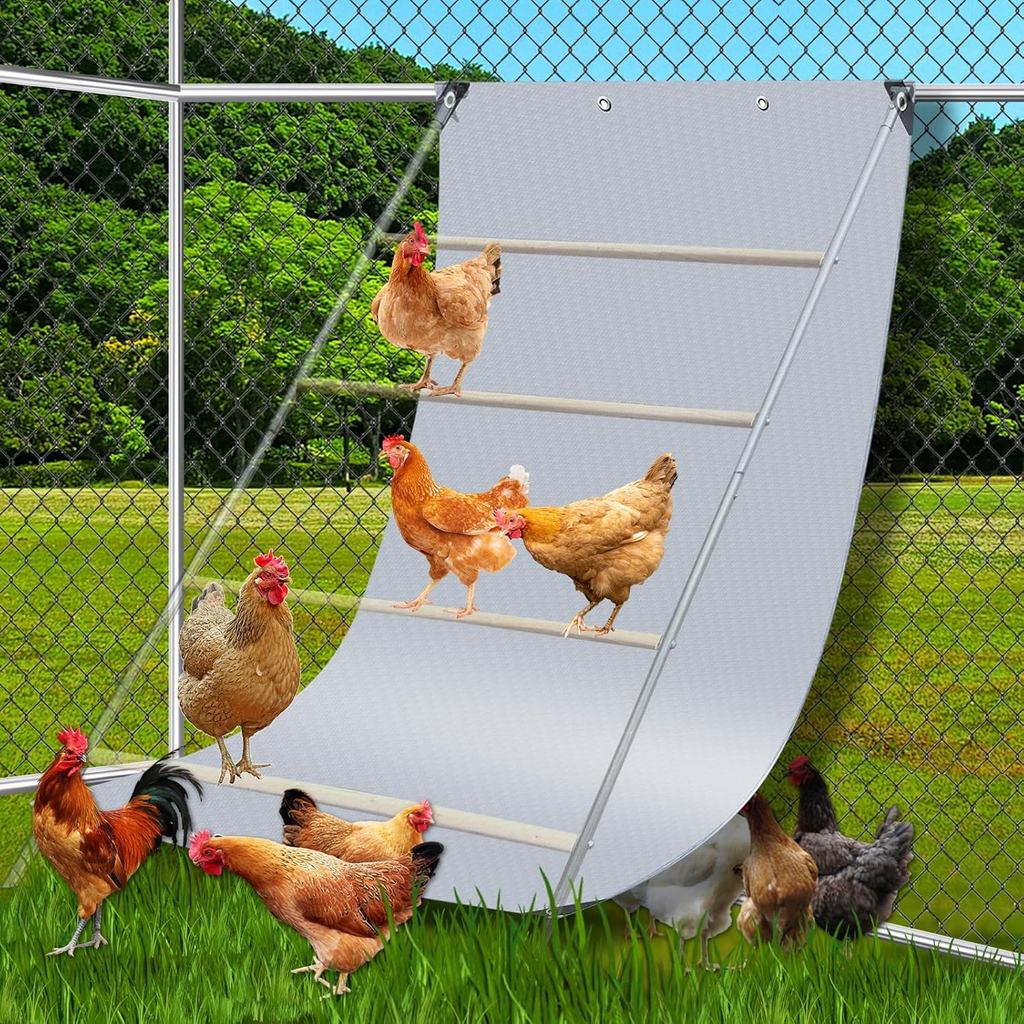 ไก่ Coop Poop Hammock กันน้ําและ UV 8 ชิ้น Ball Bungees สายไฟ, 6.5 * 4 FT Poop Deck สําหรับไก่ Roost