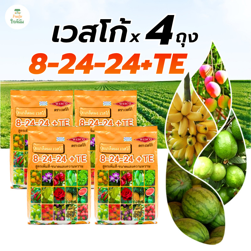 [4 ถุง] ปุ๋ยเกล็ดเวสโก้ 8-24-24+TE 1กก. ปุ๋ยเกล็ดทำผล เหมาะกับไม้ผล สะสมอาหาร เร่งดอก ทำหวาน ขยายผล 